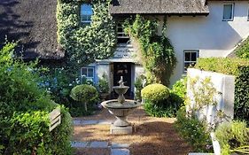 In The Vine Country Manor Guesthouse