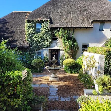 In The Vine Country Manor Guesthouse Stellenbosch Exterior photo
