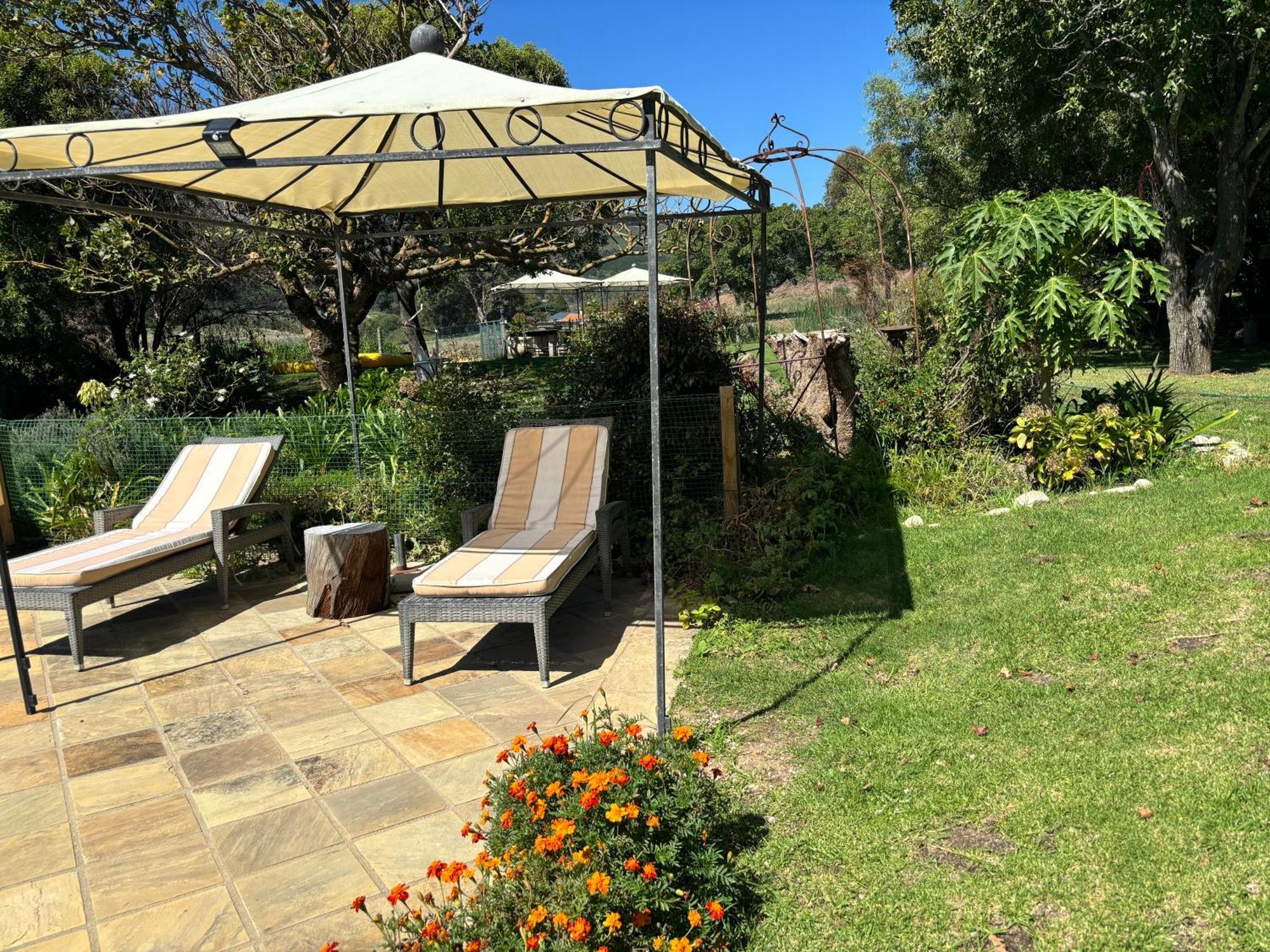 In The Vine Country Manor Guesthouse Stellenbosch Exterior photo