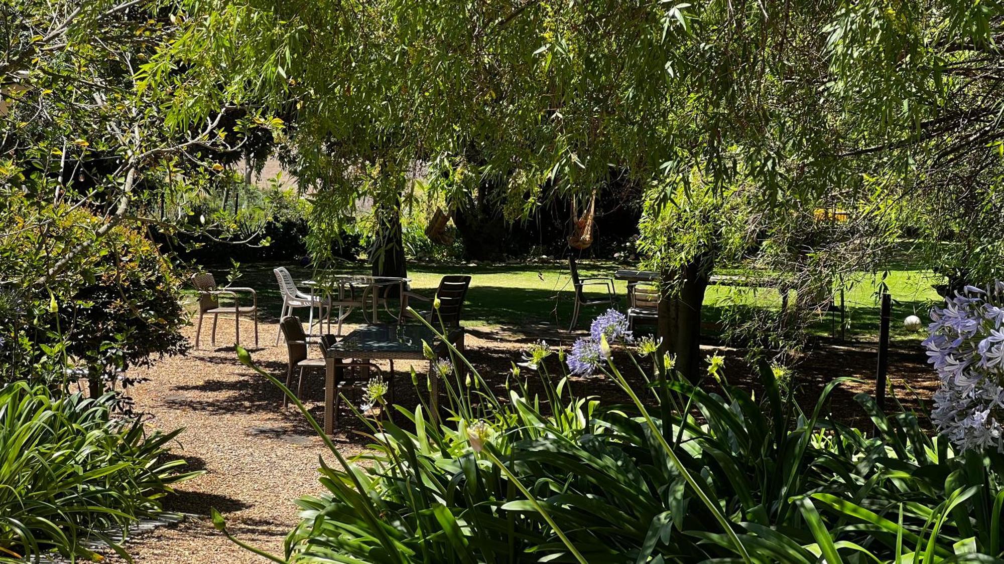 In The Vine Country Manor Guesthouse Stellenbosch Exterior photo