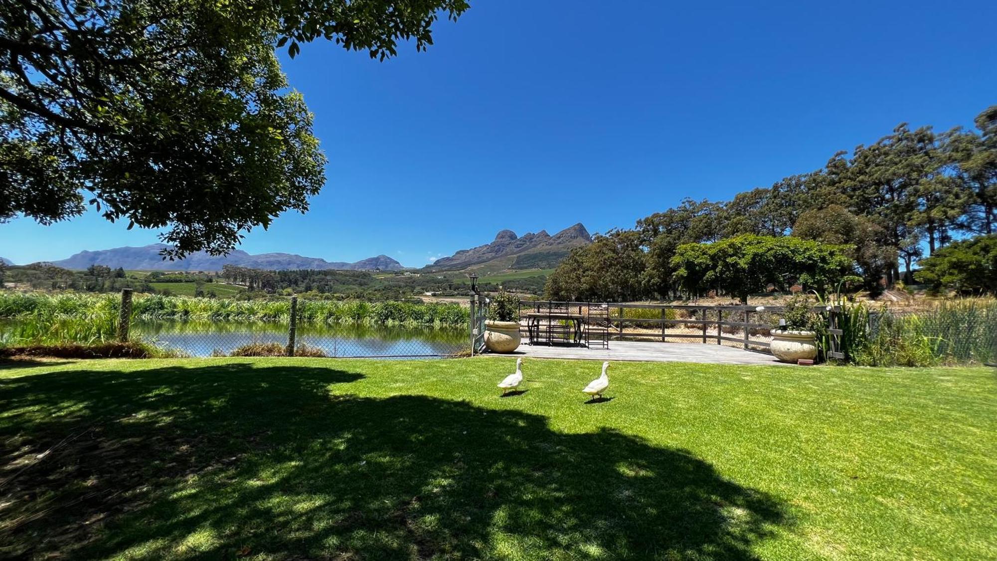 In The Vine Country Manor Guesthouse Stellenbosch Exterior photo