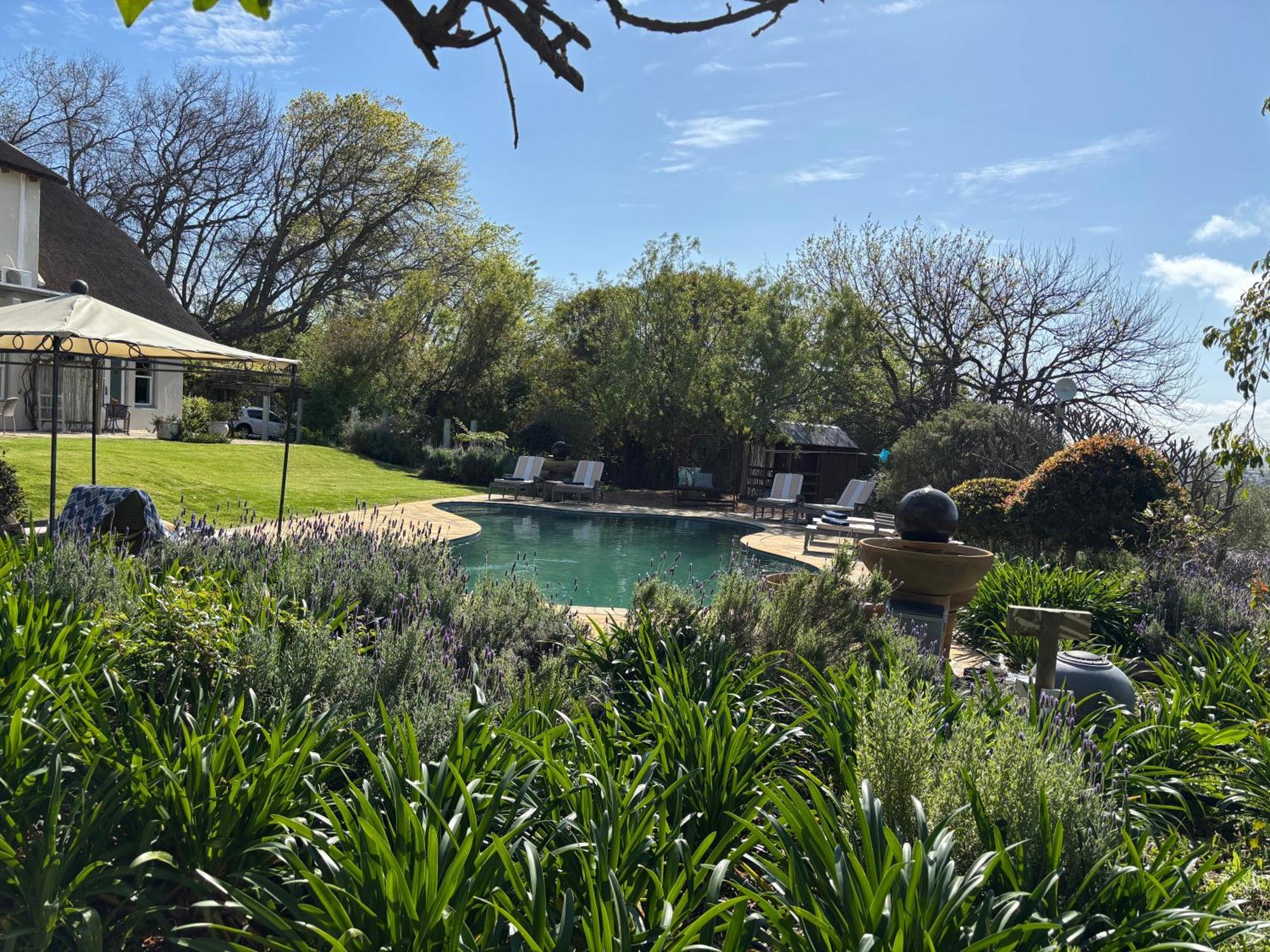 In The Vine Country Manor Guesthouse Stellenbosch Exterior photo